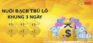 Nuôi độc thủ lô theo khung 3 ngày